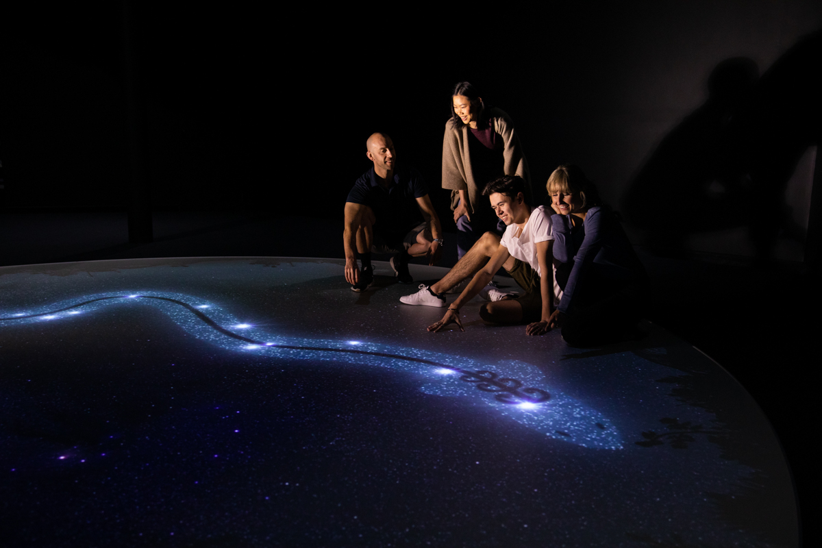 Family group looking down at illustration on ground